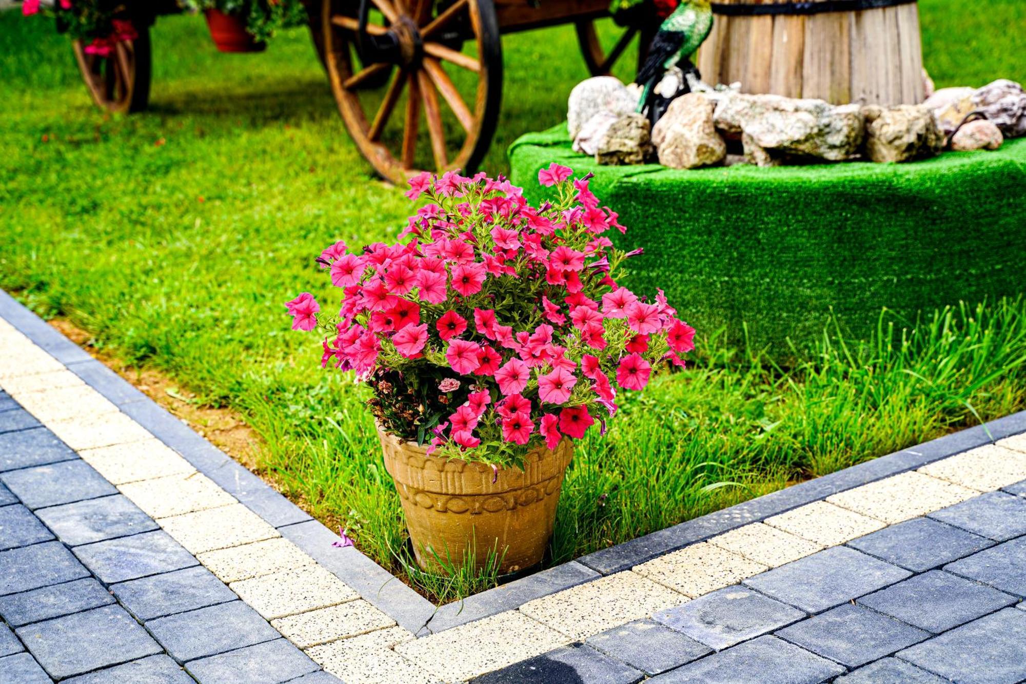 Gosciniec Kukulka Z Jacuzzi Bed & Breakfast Zakopane Luaran gambar